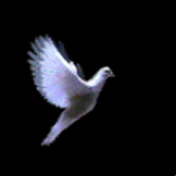 Radio Christian Hope Radio