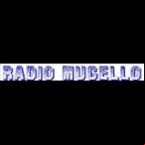 Radio Radio Mugello 99.0