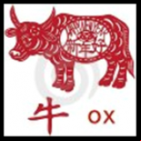 Radio Oxcopowok Psychedelic Webradio