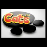 Radio Cats FM 99.3
