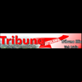 Radio Rádio Web Tribuna Mix