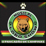 Radio Musical Lobo Show