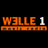 Radio Welle 1 Steyr 102.6