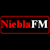 Radio Niebla FM 101.3