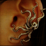 Radio Radio Octopus Tunes