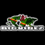 Radio Bigvibez Radio