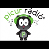 Radio Picur Radio
