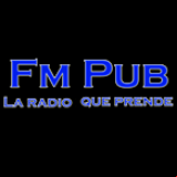 Radio Fm Pub