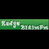 Radio Radyo Bizim FM