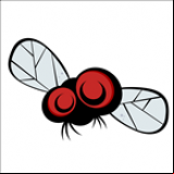 Radio My Fly Radio