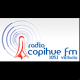 Radio Radio Copihue FM 105.1