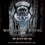 Radio Wolfhound Metal Radio