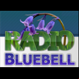 Radio Radio Bluebell