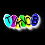 Radio TV Knob Ch. 4