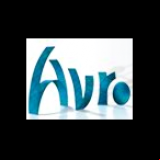 Radio AVRO Steenen Tijdperk Sixties