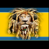 Radio Lions - Radio