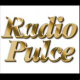 Radio Radio Pulce 99.1
