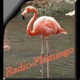 Radio Radio Flamingo