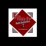 Radio Feline FM