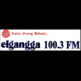 Radio Elgangga FM 100.3