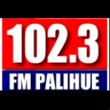 Radio FM Palihue 102.3