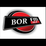 Radio Bor FM