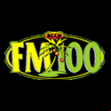 Radio FM 100 100.3