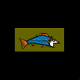 Radio Boundary Waters Radio