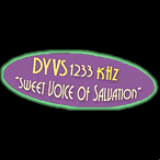 Radio DYVS 1233