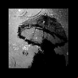 Radio Songs In The Rain