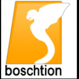 Radio Boschtion FM 95.2