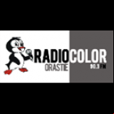Radio Radio Color Orastie 90.3