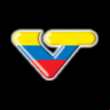 Radio VTV FM