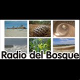 Radio Radio Del Bosque 92.3