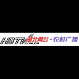 Radio Hubei Rural Radio 91.2