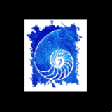 Radio Nautilus Radio
